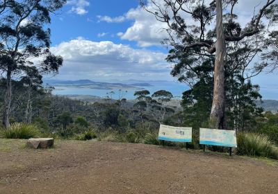 Three Thumbs Lookout