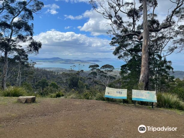 Three Thumbs Lookout