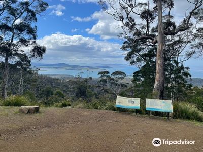 Three Thumbs Lookout