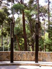 Kokoda Trail Memorial Walk