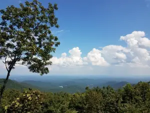 Eagle's Rest