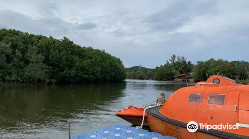 Cherating River