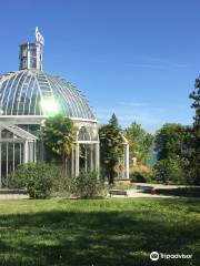 Conservatoire et Jardin botaniques de Genève