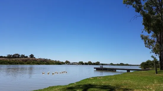 Murray Bridge Bunyip