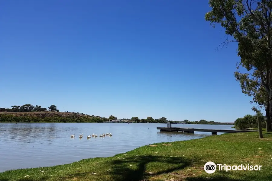 Murray Bridge Bunyip