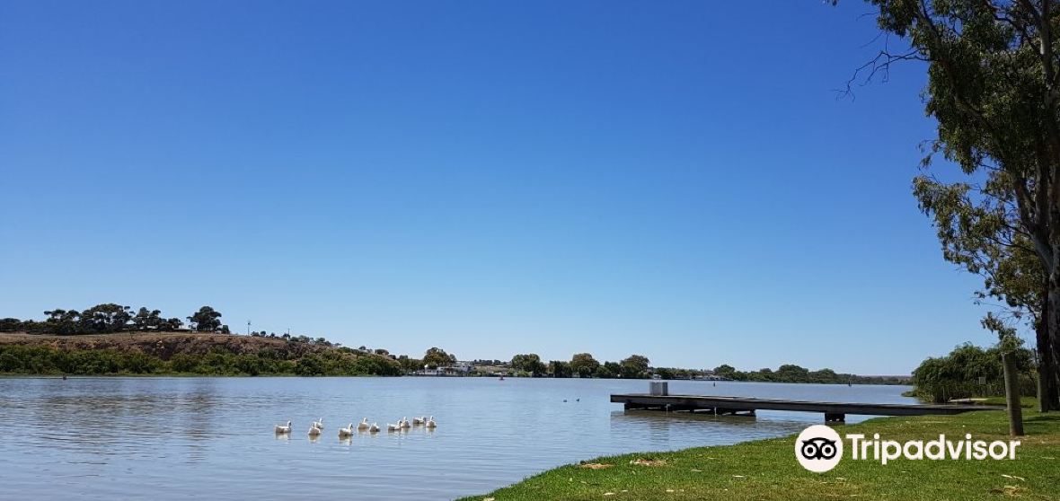 Murray Bridge Travel Guide 2024 Things to Do, What To Eat & Tips