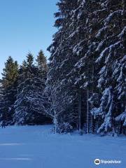 Ski Resort Willingen