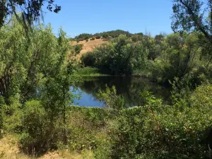 Healdsburg Ridge Open Space Preserve