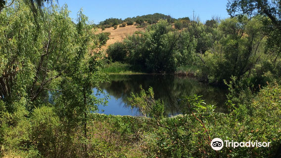 Healdsburg Ridge Open Space Preserve
