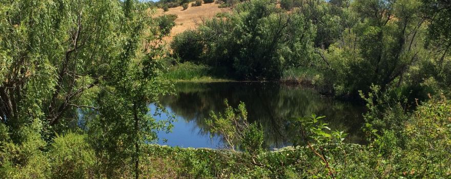 Healdsburg Ridge Open Space Preserve