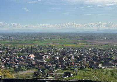 La Volerie des aigles