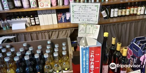 Fuefuki Wine
