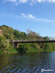 Berwick Boat Trips