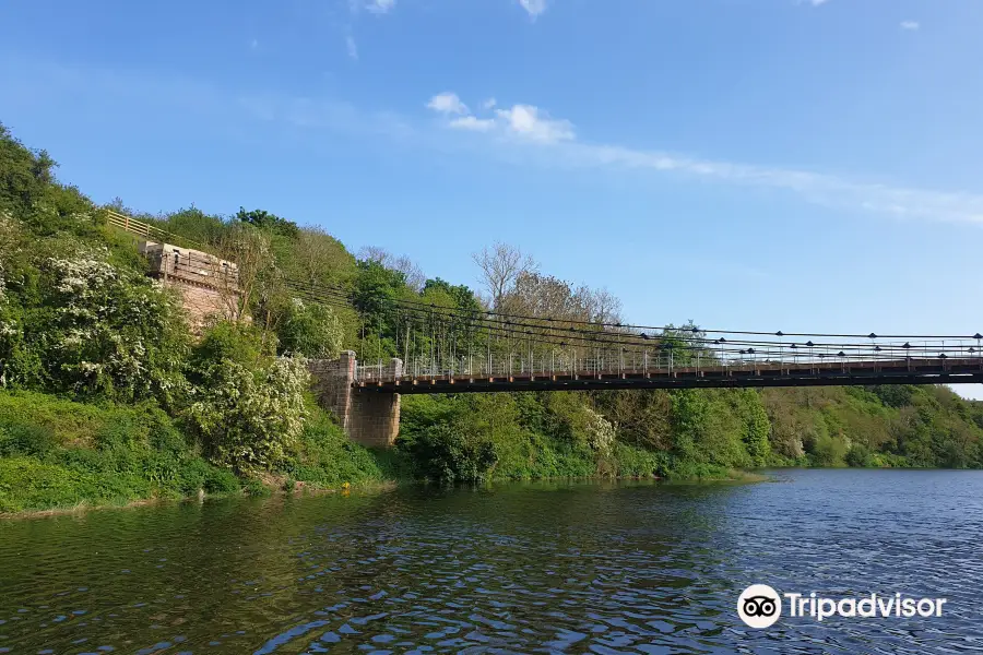 Berwick Boat Trips