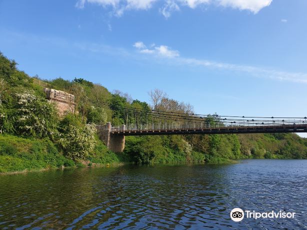Berwick Boat Trips