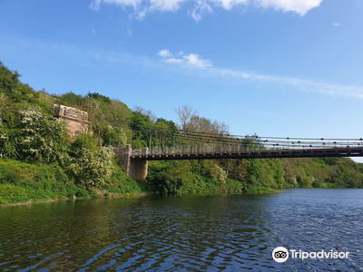 Berwick Boat Trips