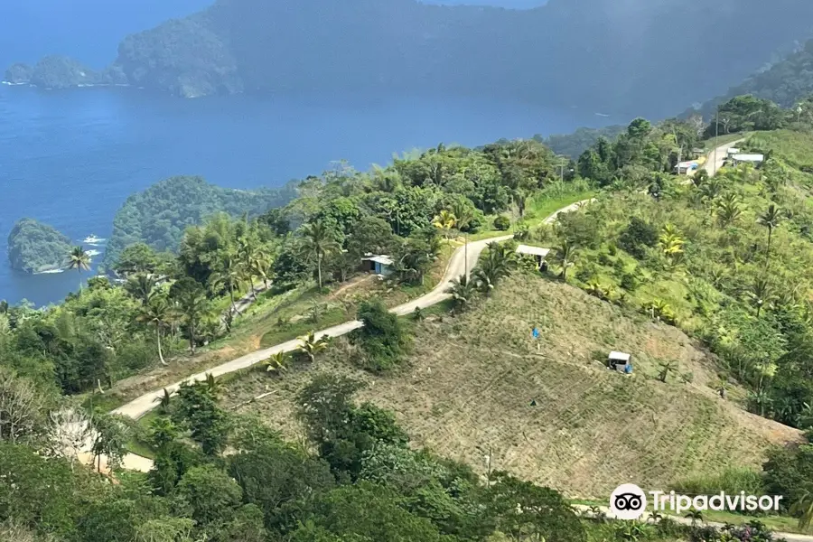 La Vigie Paramin Lookout