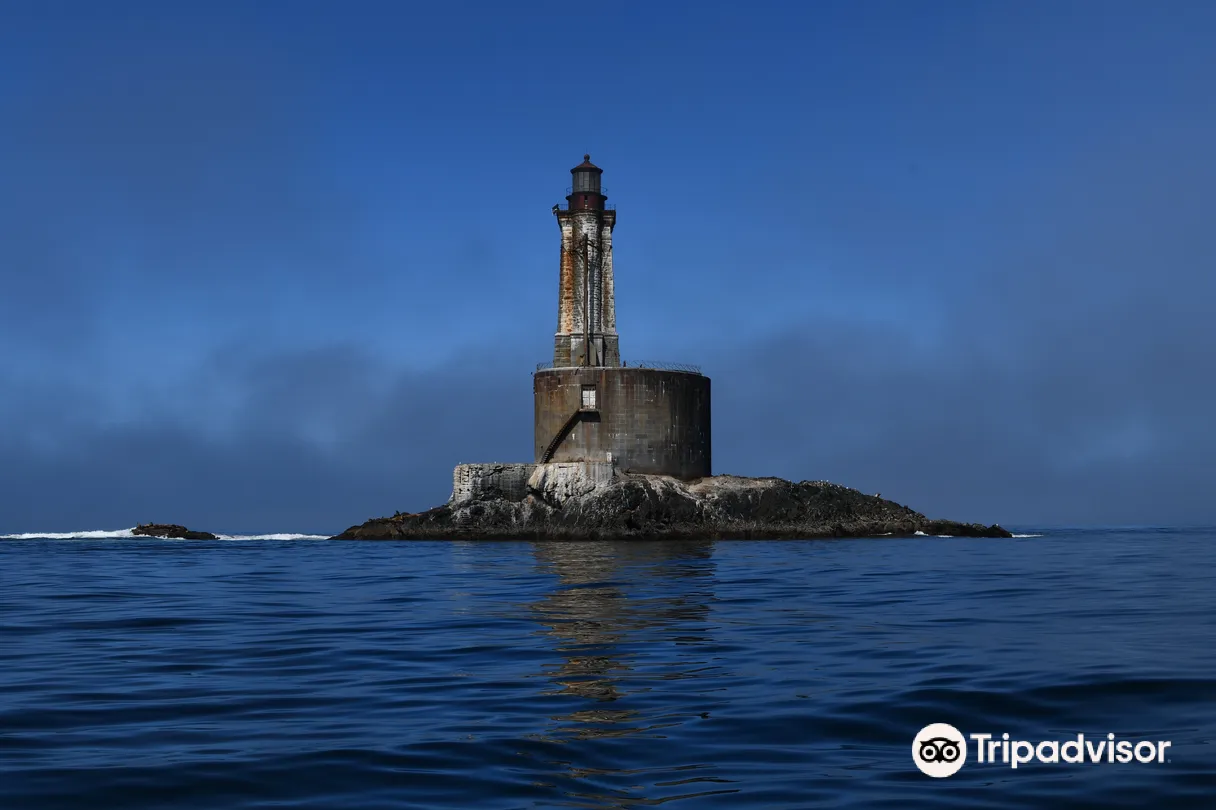 1_Stella's Adventures