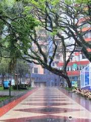 Praça da Matriz