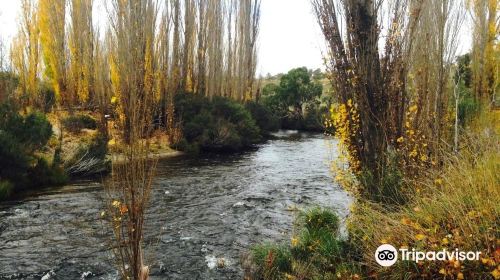 Gaden Trout Hatchery