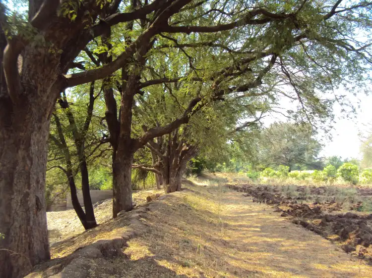 Hotels in Chandoli