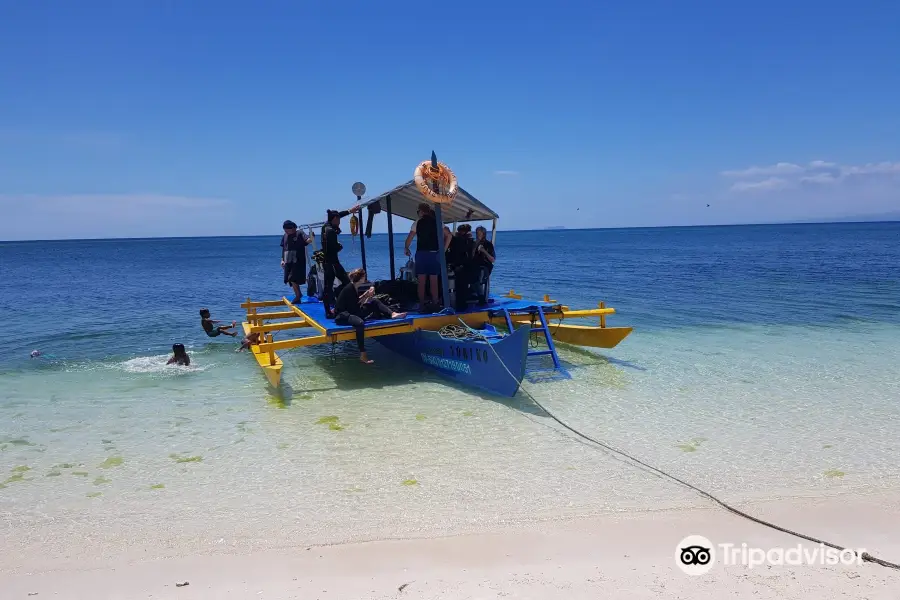 Dive Point Siquijor