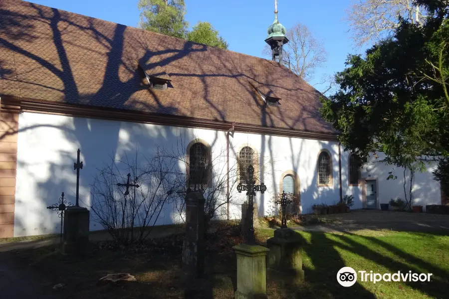 Old cemetery of Freiburg im Breisgau