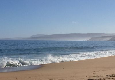 Playa El Pejerrey