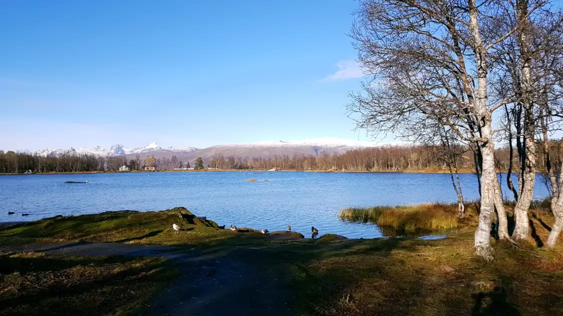 Hotels near Prestvannet Lake