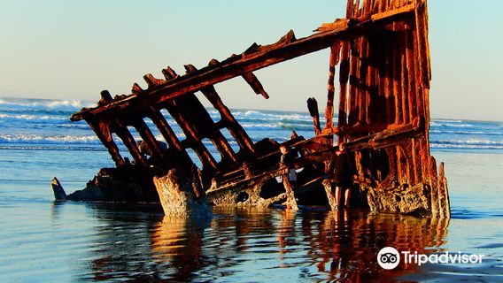 Peter Iredale Ship Wreck