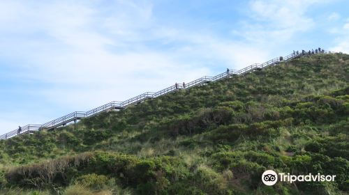 Truganini - The Neck Game Reserve Lookout