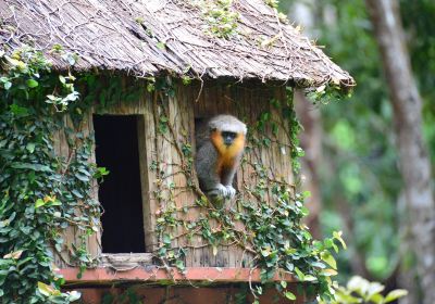 BioParque Vale Amazônia