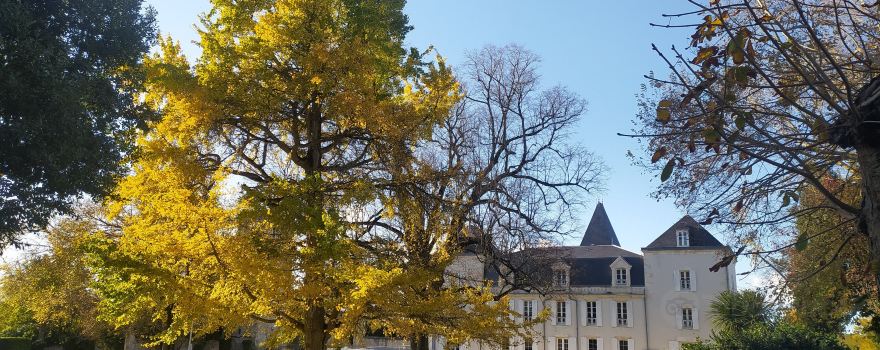 Vaux-sur-Mer