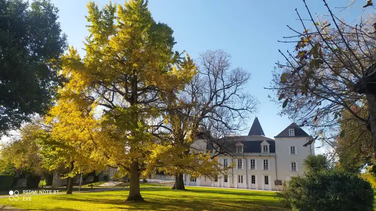 Hotels in Vaux-sur-Mer