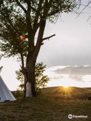 Grasslands-Nationalpark