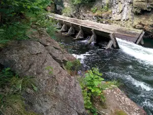 Hawk Lake Log Chute