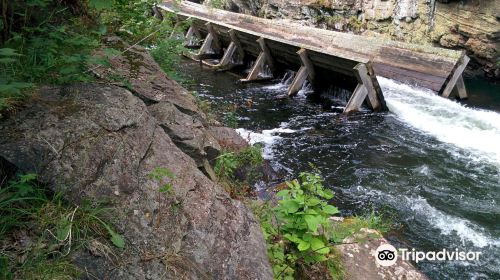 Hawk Lake Log Chute