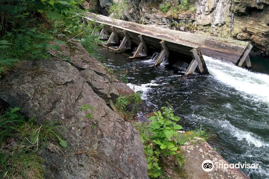 Hawk Lake Log Chute