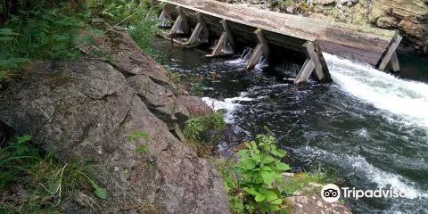 Hawk Lake Log Chute