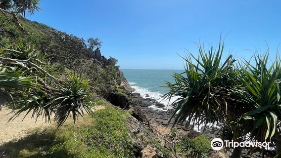 Joseph Banks Regional Park