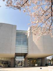 Museo de Bellas Artes Fuji de Tokio