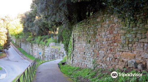 Etruscan Walls