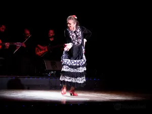 Flamenco City Hall Theatre - Barcelona