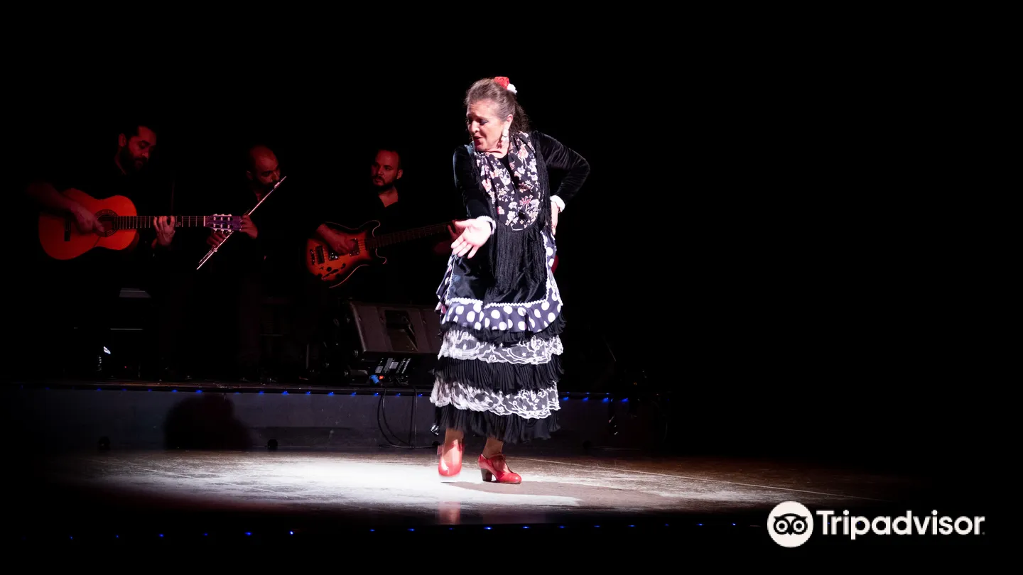 2_Flamenco City Hall Theatre - Barcelona