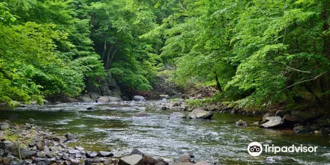 Gunpowder Falls State Park