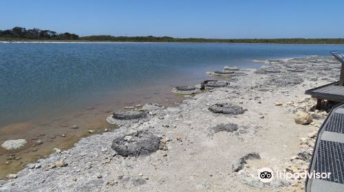 Lake Thetis