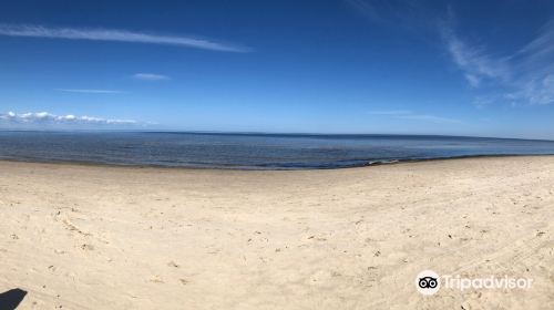 Jurmala Beach