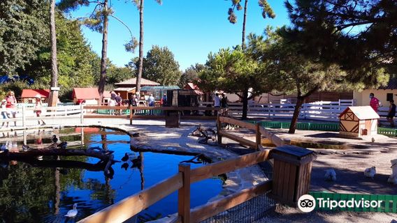 Parc de la Coccinelle