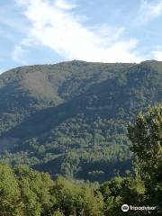 Parco Naturale Monte Fenera