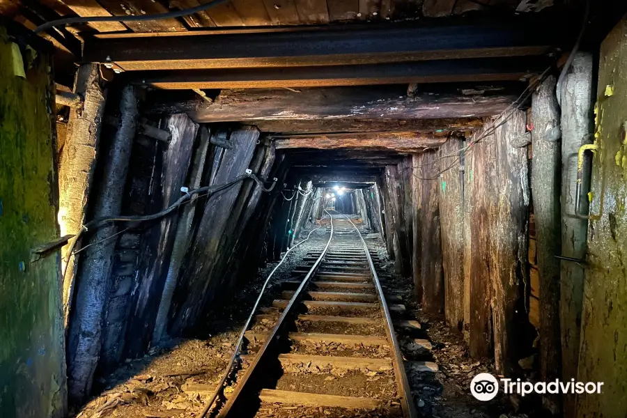 Pioneer Tunnel Coal Mine & Steam Train